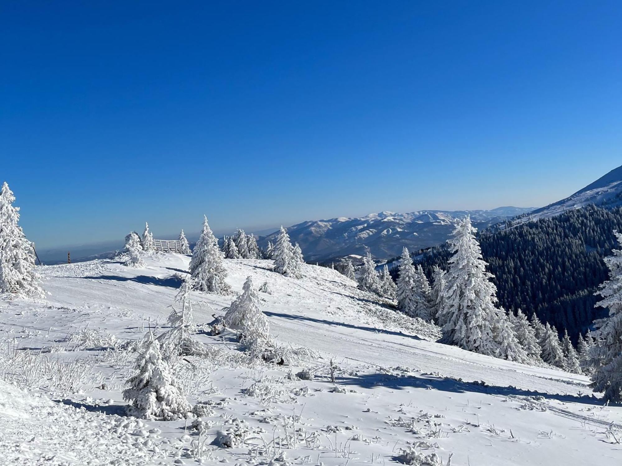 Hotel Junior Kopaonik Kültér fotó